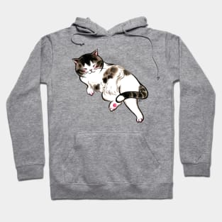 Sexy belly cat Hoodie